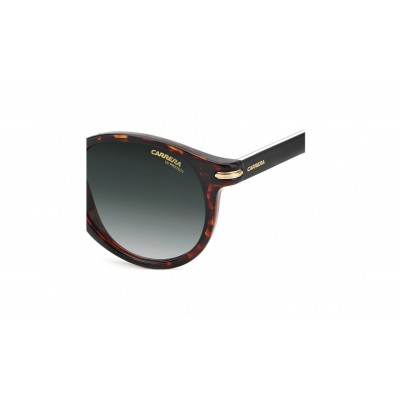 Carrera 301/S 0869K 50*23 145