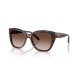 Emporio Armani EA 4198 5026/13 55*17 140