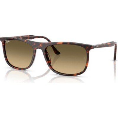 Ray-Ban RB 2216 1429/0A 58*18 145