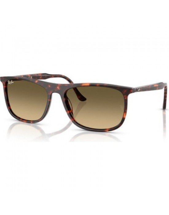 Ray-Ban RB 2216 1429/0A 58*18 145