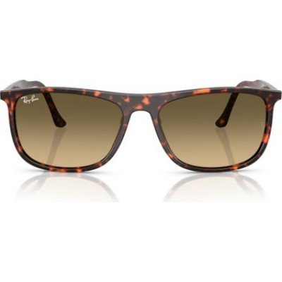 Ray-Ban RB 2216 1429/0A 58*18 145