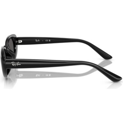 Ray-Ban RB 4441D 667787 53*21 145