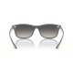 Ray-Ban RB 4607-M F608/11 55*17 145