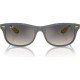 Ray-Ban RB 4607-M F608/11 55*17 145