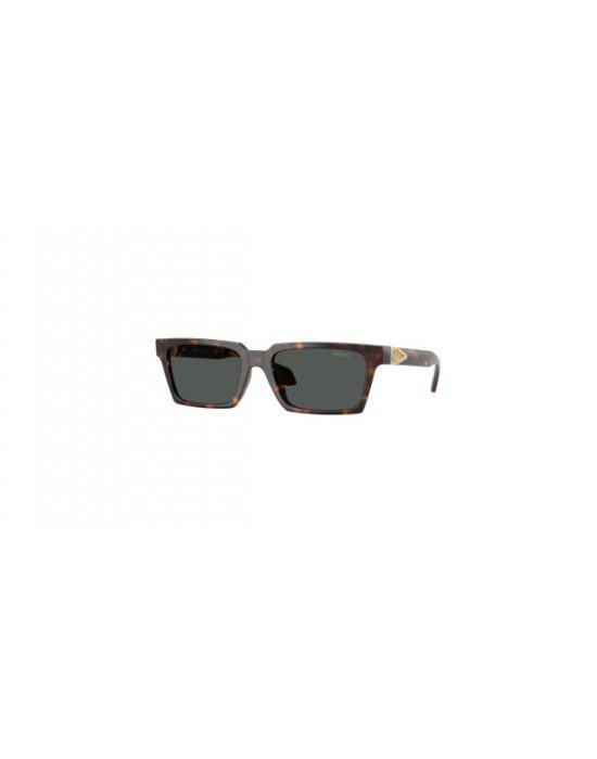 Versace 4490-U 108/87 55*18 140