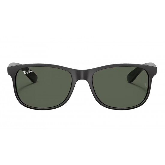 Ray-Ban RB 4202 6069/71 55*17 145