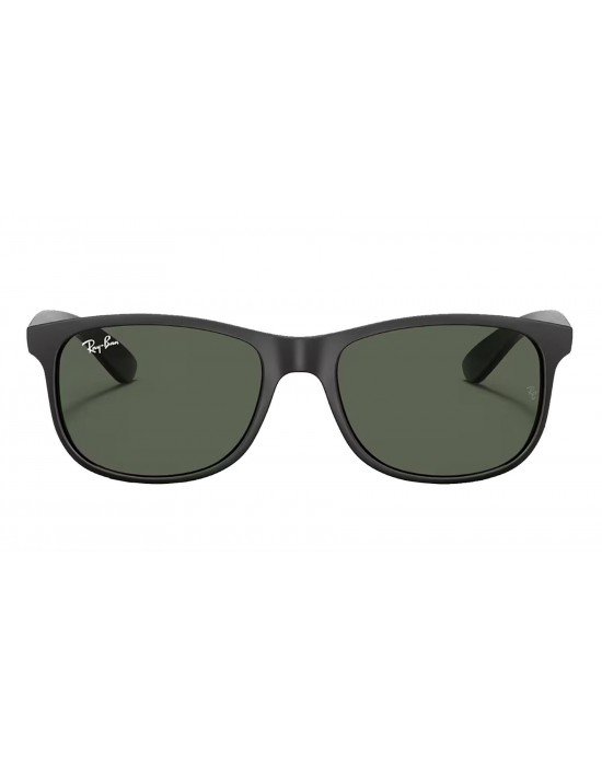 Ray-Ban RB 4202 6069/71 55*17 145 Ray-Ban RB 4202 6069/71 55*17 145