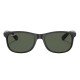 Ray-Ban RB 4202 6069/71 55*17 145