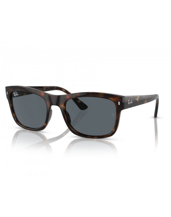 Ray-Ban RB 4428 710/R5 56*21 145 Ray-Ban RB 4428 710/R5 56*21 145