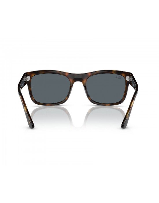 Ray-Ban RB 4428 710/R5 56*21 145 Ray-Ban RB 4428 710/R5 56*21 145