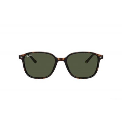 Ray-Ban 2193 Leonard 902/31 