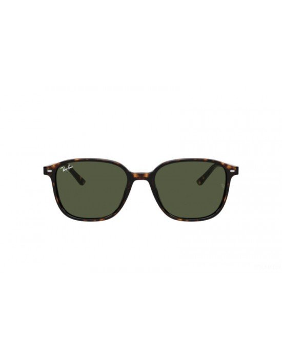 Ray-Ban 2193 Leonard 902/31 Ray-Ban 2193 Leonard 902/31