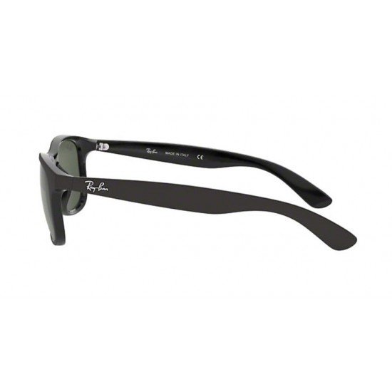 Ray-Ban RB 4202 6069/71 55*17 145