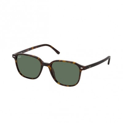 Ray-Ban 2193 Leonard 902/31 
