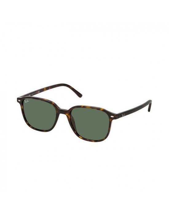 Ray-Ban 2193 Leonard 902/31 Ray-Ban 2193 Leonard 902/31