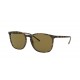 Ray-Ban RB4387 710/73 Unisex Güneş Gözlüğü