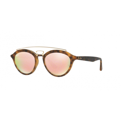 Ray-Ban RB4257-6092/2Y Unisex Güneş Gözlüğü
